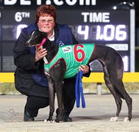 Bulli Greyhound Racing Club - Accommodation Brunswick Heads