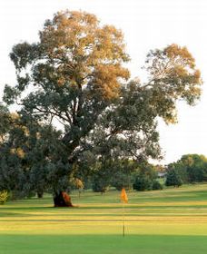 Cowra Golf Club - Accommodation Brunswick Heads 0