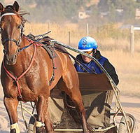 Ballarat  District Trotting Club - Accommodation Brunswick Heads