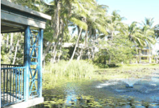 Bushland Tavern - Accommodation Brunswick Heads 2