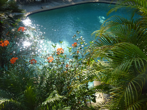 Avoca Beach Hotel - Accommodation Brunswick Heads 1