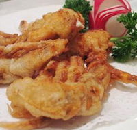 Mathew's Peacock Gardens - Accommodation Brunswick Heads