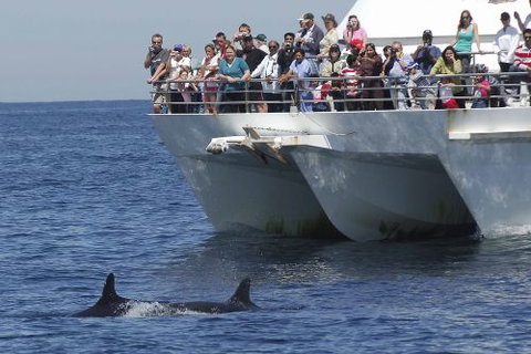 Moonshadow–TQC Cruises - Accommodation Brunswick Heads 0