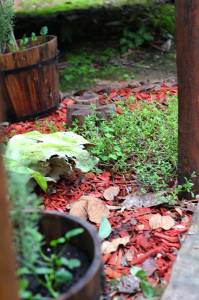 Herveys Range Heritage Tea Rooms - Accommodation Brunswick Heads 1