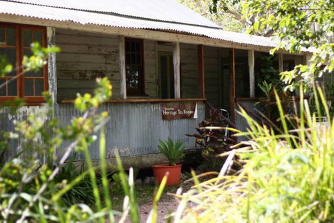 Herveys Range Heritage Tea Rooms - Accommodation Brunswick Heads 3