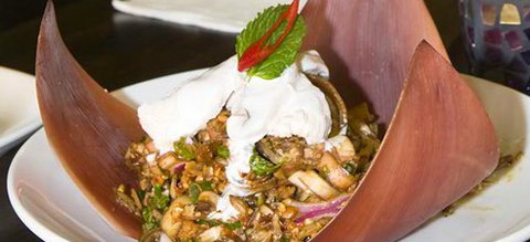 Thai Splendid Rouse Hill - Accommodation Brunswick Heads 0