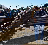 19th Annual Old Wheels In Motion Rally - Accommodation Brunswick Heads