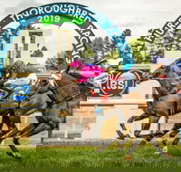 Bathurst Cup - Accommodation Brunswick Heads