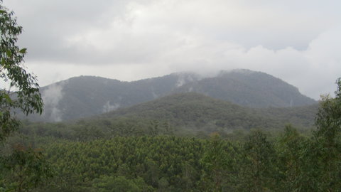 Elephant Trail Race - Accommodation Brunswick Heads 2