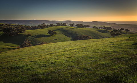 Festival Of Nature - Accommodation Brunswick Heads 1