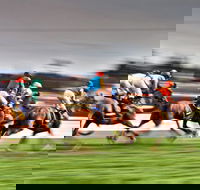 Grafton July Racing Carnival - Accommodation Brunswick Heads