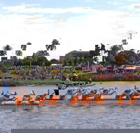 Jacaranda Dragon Boat Races - Accommodation Brunswick Heads