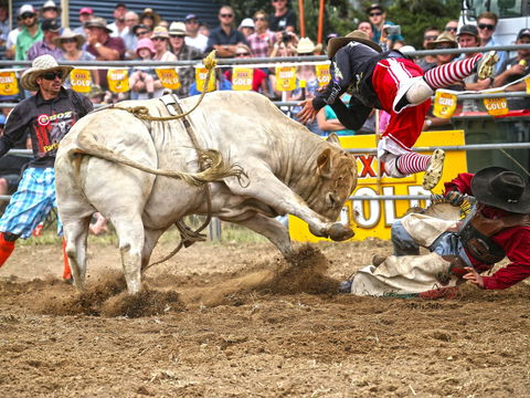 Jindabyne's Man From Snowy River Rodeo - Accommodation Brunswick Heads 0