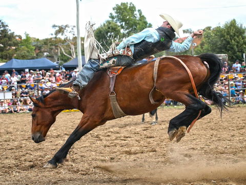 Jindabyne's Man From Snowy River Rodeo - Accommodation Brunswick Heads 1