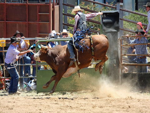 Jindabyne's Man From Snowy River Rodeo - Accommodation Brunswick Heads 2