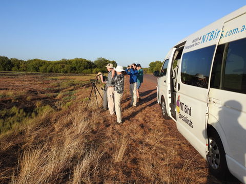 Kakadu Bird Week Tours & Cruises - Accommodation Brunswick Heads 1