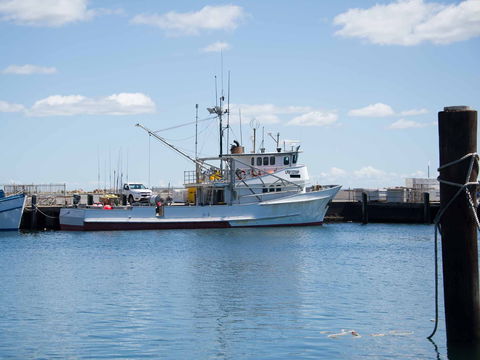 Love Sea Food Port Stephens - Accommodation Brunswick Heads 1