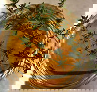 Online live streaming class DIY Skincare Products - Accommodation Brunswick Heads