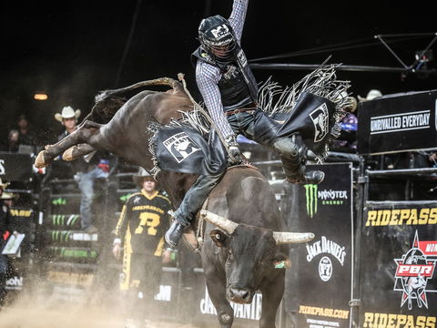 PBR Hawkesbury Stampede - Accommodation Brunswick Heads 0