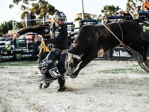 PBR Hawkesbury Stampede - Accommodation Brunswick Heads 2