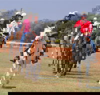 Pride of the West Races 2020 - Accommodation Brunswick Heads