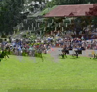 Tumut Derby Day - Accommodation Brunswick Heads