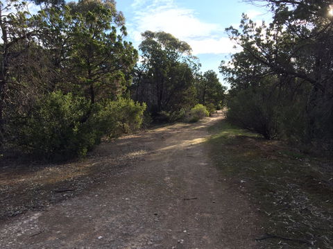 Victoria Park Moonta Monthly Walks - Accommodation Brunswick Heads 0