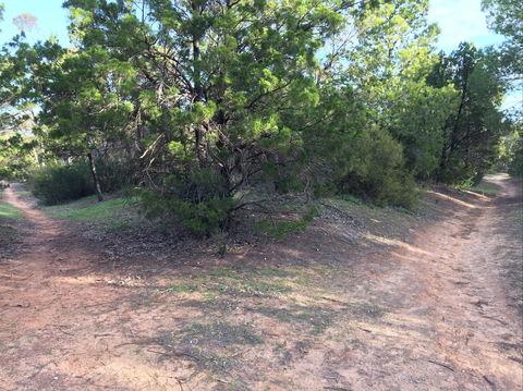 Victoria Park Moonta Monthly Walks - Accommodation Brunswick Heads 1