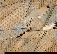 WA Now  Tom Mller Monolith Scores - Virtual Exhibition - Accommodation Brunswick Heads