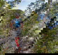 Wild Earth Coastal High 50 - Accommodation Brunswick Heads