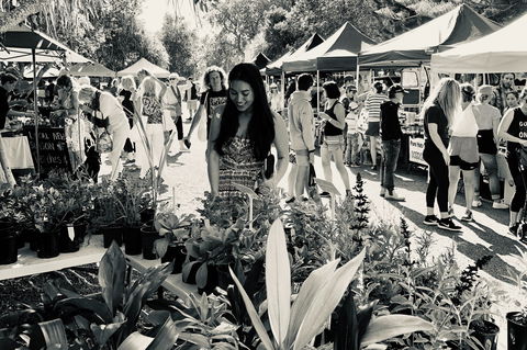 Yamba Farmers And Producers Market - Accommodation Brunswick Heads 0