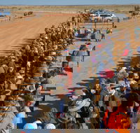28th Marree Australasian CAMEL CUP 3 July 2021 - Accommodation Brunswick Heads