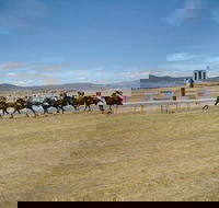 Adaminaby Cup Race Day - Accommodation Brunswick Heads