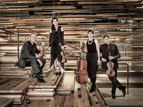 Australian String Quartet Plays Late Beethoven - Accommodation Brunswick Heads 2