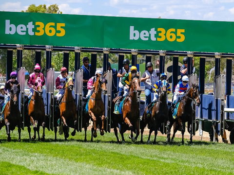 Bet 365 Caulfield Cup Day At Wodonga Race Course - Accommodation Brunswick Heads 1