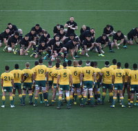 Bledisloe Cup Qantas Wallabies versus All Blacks - Accommodation Brunswick Heads