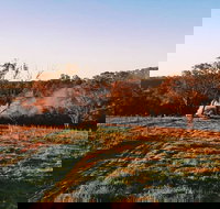 Cargo Road Wines Grande Fiamma - Accommodation Brunswick Heads