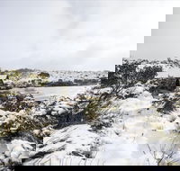 Christmas in July at Cradle Mountain Hotel 2020 - Accommodation Brunswick Heads