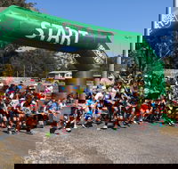Coffs Harbour Running Festival - Accommodation Brunswick Heads