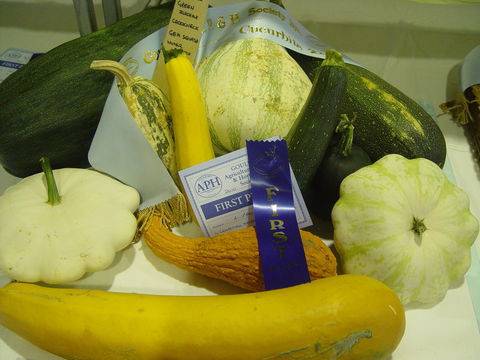 Goulburn Show - Accommodation Brunswick Heads 0