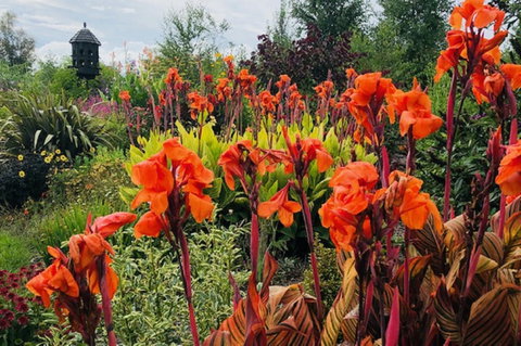 Highfield Gardens - Accommodation Brunswick Heads 1