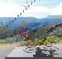 High Country Women's Cycling Festival - Accommodation Brunswick Heads