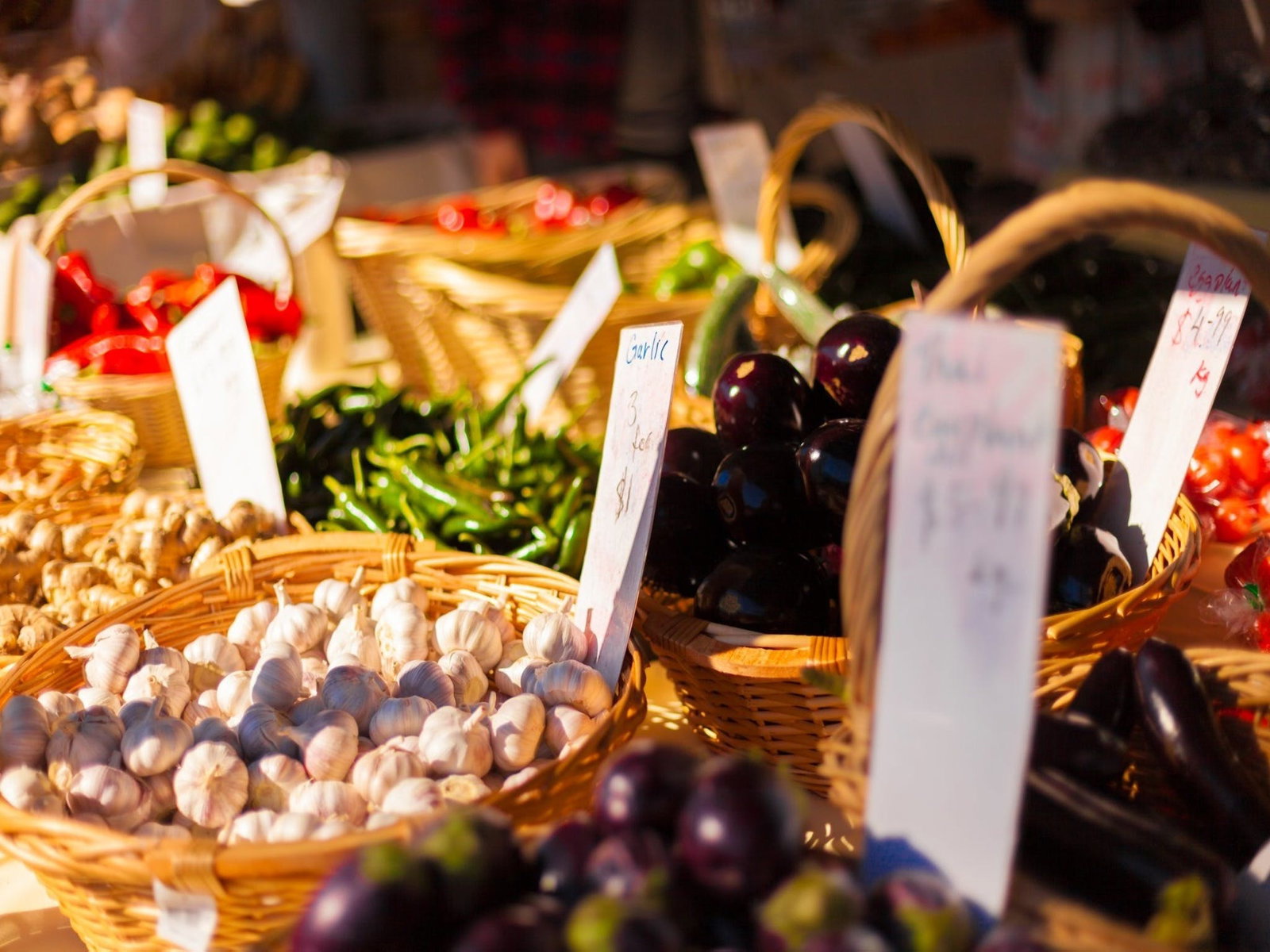 Kuraby QLD Accommodation Brunswick Heads