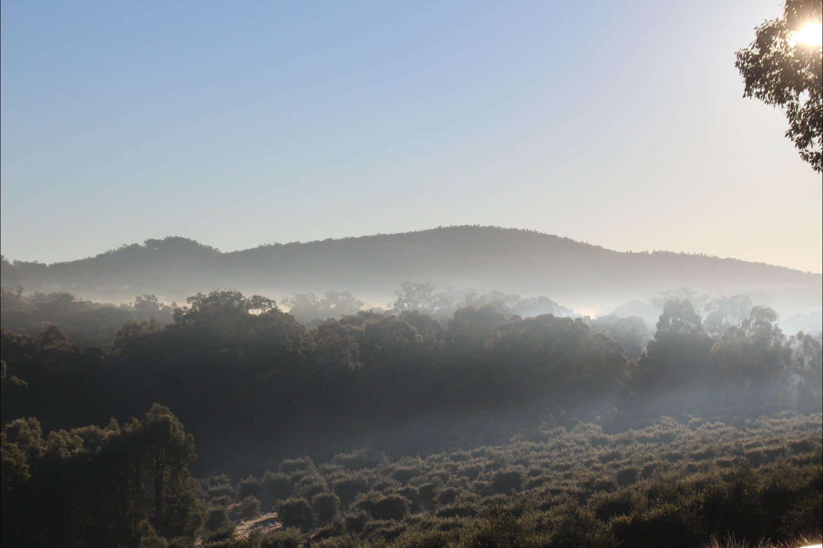 Avisford NSW Accommodation Brunswick Heads