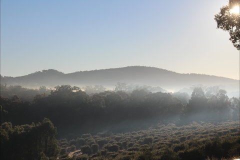 Mudgeeque - Accommodation Brunswick Heads 0