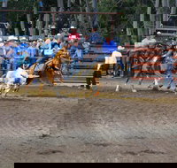 North Queensland Elite Rodeo - Accommodation Brunswick Heads