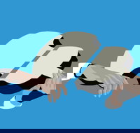 Petrenko's Shostakovich - Morning Symphony - Accommodation Brunswick Heads