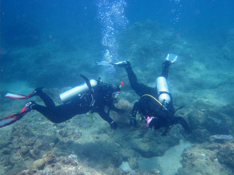 Recovery Of The Great Barrier Reef - Accommodation Brunswick Heads 1