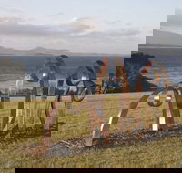 Sculpture Bermagui - Accommodation Brunswick Heads