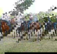 Stroud Show - Accommodation Brunswick Heads